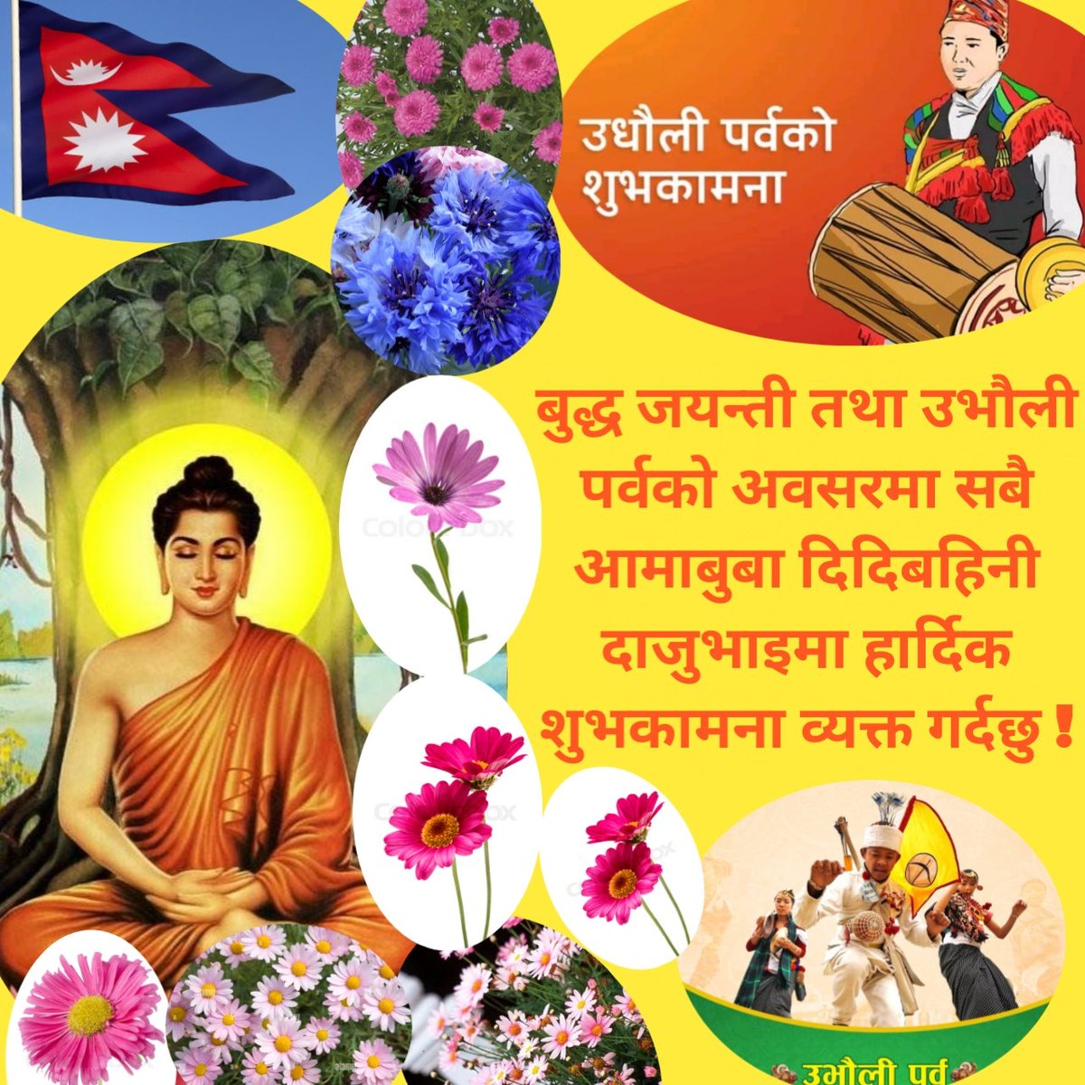 Shrestha202's tweet photo. 🇳🇵🇳🇵🇳🇵🇳🇵🇳🇵🇳🇵🇳🇵🇳🇵🇳🇵🇳🇵
#देश #बिदेशमा #बस्नु #हुने🌺 #हिमाल #पहाड #तराई #नेपालि #आमा  #बुवा #दाजु #भाइ #दिदि #बहिनिहरुमा🌹🌹🌺🌺
#बुद्ध #जयन्ती #तथा #उभौली #पर्वको  #हार्दिक #शुभकामना #व्यक्त !#गर्दछु !🌹🌹🌺🌺🌺🇳🇵🌺🌺🌺🌺🌺🌺 https://t.co/t4aYGacS7n