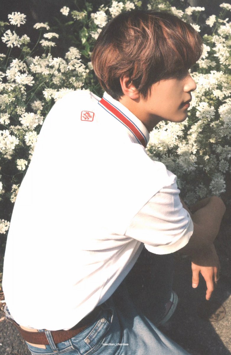 haechan_chanhae's tweet photo. 127 BLUE TO ORANGE 포토북 🌱
#해찬 #HAECHAN https://t.co/ctl7Af1mi2