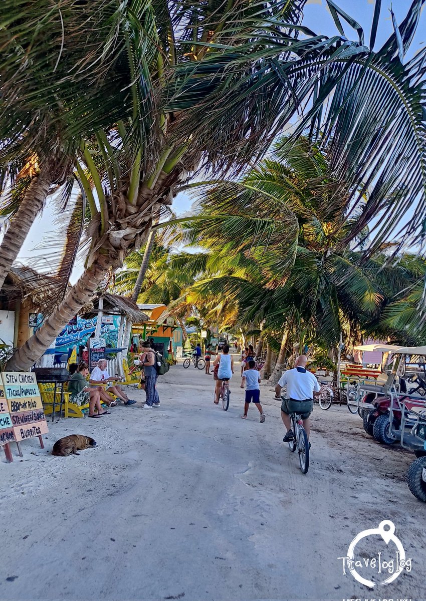 ベリーズの風景🇧🇿 キーカーカー島の様子 サン・ペドロ島から、バックパッカー向けのキーカーカー島へ移動🏝 いかにもカリブの島って感じの景色に大満足😆 ダイビングに来る人が多いみたいですね🤿 僕はダイバーじゃないので、シュノーケリングツアーです😂