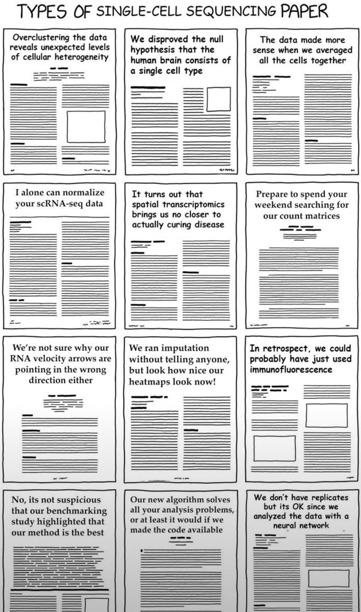 zolotarg's tweet image. 