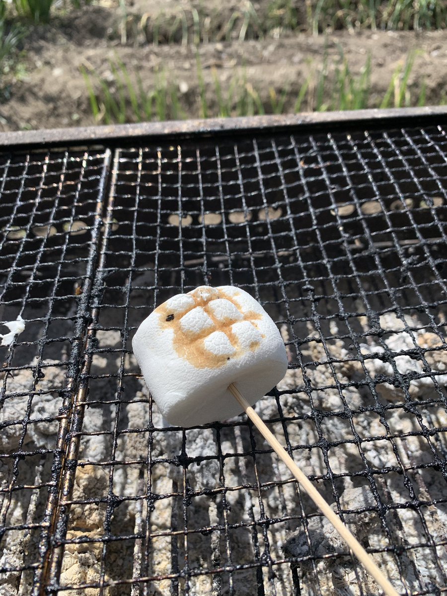 RyoFreesty1er's tweet photo. バッキバキのマシュマロおった
#マシュマロ
#シックスパック https://t.co/OA8SMtetst