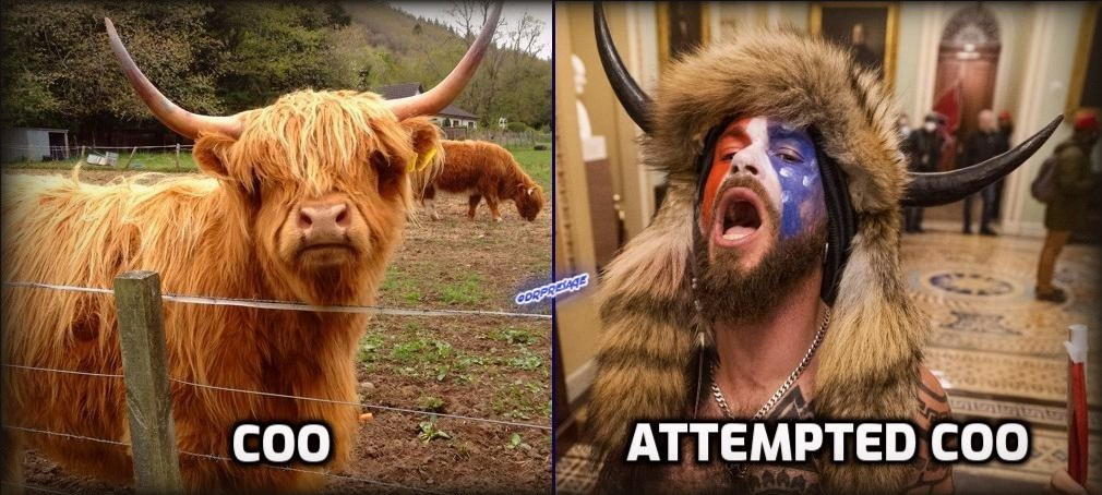 Jackieparkes3's tweet image. Don't forget Scotland 😁😁