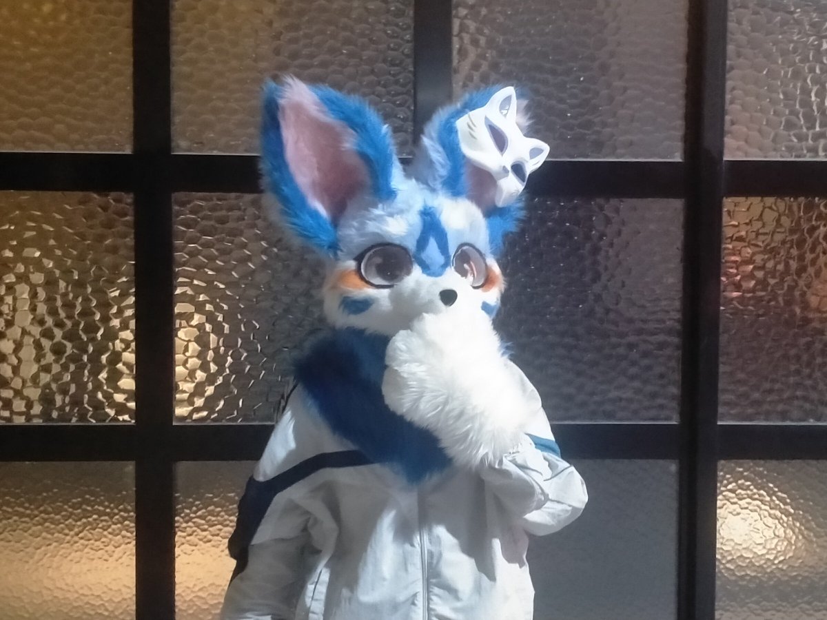 zhengze_regex's tweet image. #FursuitFriday 
第一个毛五OwO