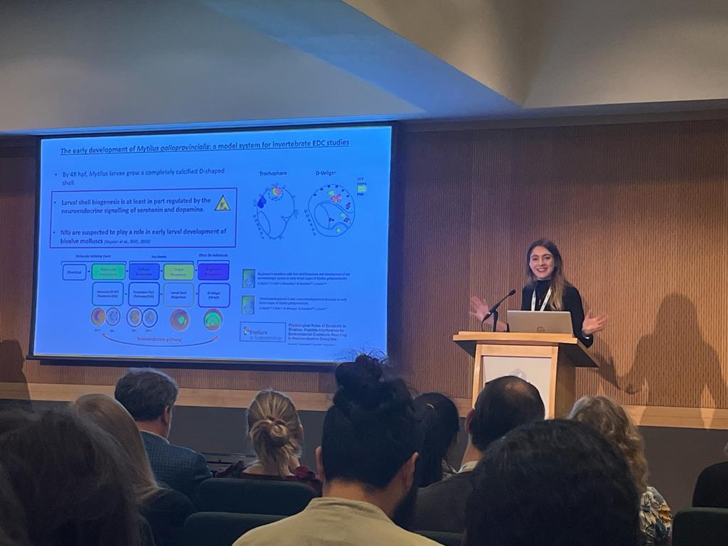 Angelica Miglioli (@angiemiglio) on Twitter photo Thanks to everyone that took the time to attend my talk at #SETAC2023 in the #EndocrineDisruption session on #NuclearRecepetors in #Mytilusgalloprovincialis. It was great to discuss and share ideas with you all.
<a href="/biodev_vlfr/">LBDV Villefranche</a> <a href="/AscidianBioCell/">AscidianBioCell</a> <a href="/EmbrcFrance/">EMBRC-France</a> Thanks to everyone that took the time to attend my talk at #SETAC2023 in the #EndocrineDisruption session on #NuclearRecepetors in #Mytilusgalloprovincialis. It was great to discuss and share ideas with you all.
<a href="/biodev_vlfr/">LBDV Villefranche</a> <a href="/AscidianBioCell/">AscidianBioCell</a> <a href="/EmbrcFrance/">EMBRC-France</a>