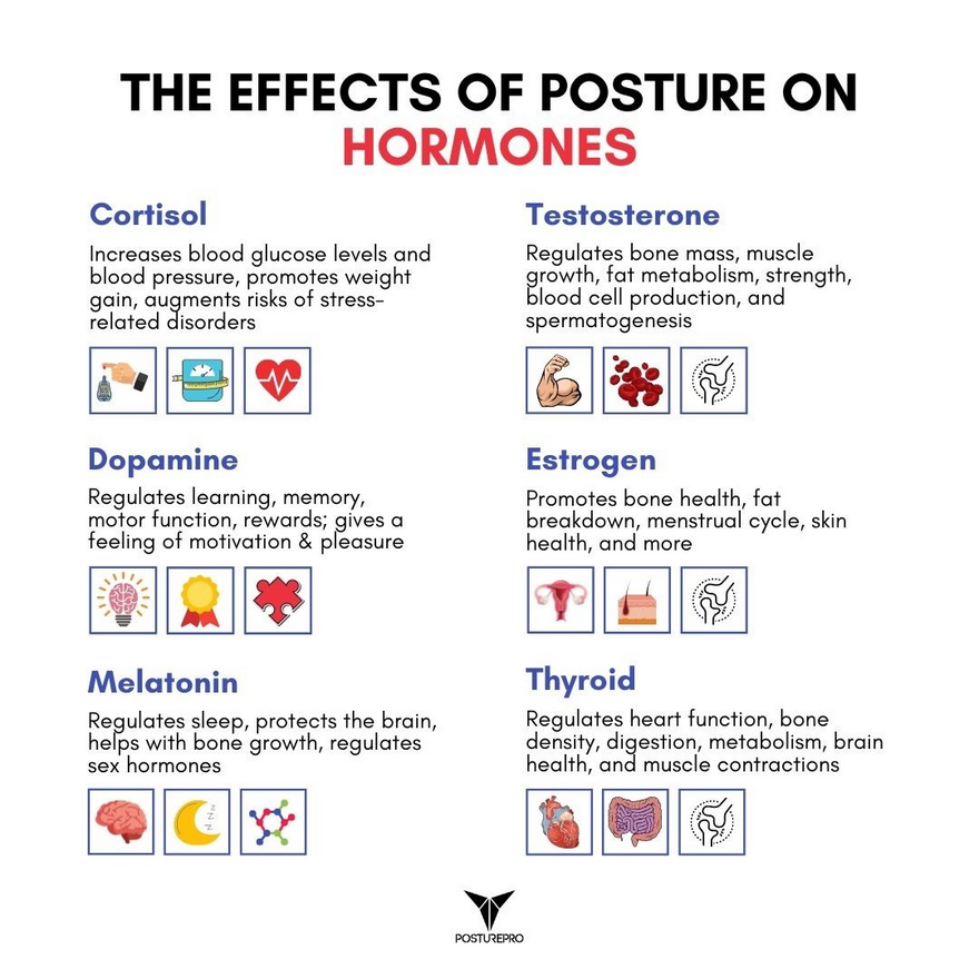 Productivity Hackers tweet media