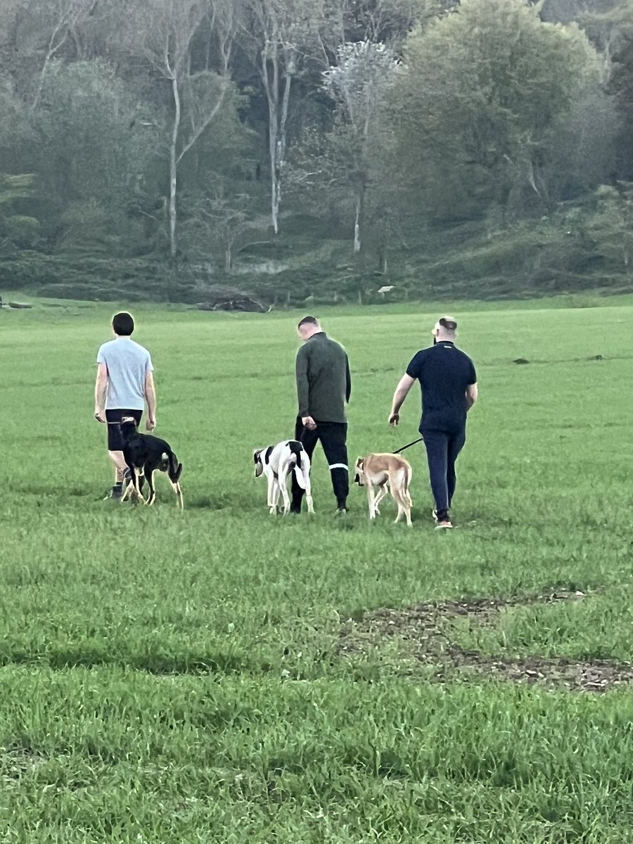 This is #Ruralcrime a battle between #farmers and hare coursers. They maintain they are walking their dogs on the footpath. What you don’t see is the hunt, killing &amp; the dead hares left to rot in the fields, if you see it report it on 999. <a href="/NFUKent/">NFU Kent</a> <a href="/kent_police/">Kent Police (UK)</a>