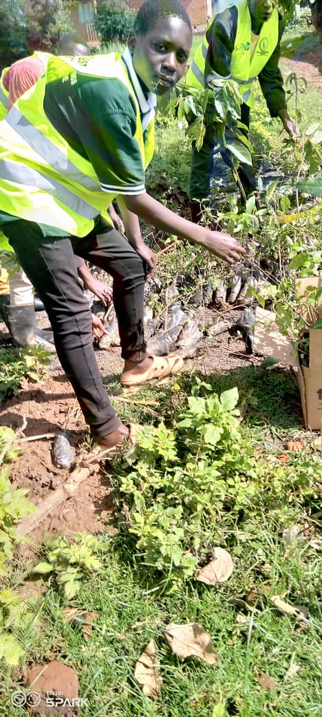 Dr_JibCares's tweet photo. #Kisoro
We're happy to see local people enthusiastically taking part in tree loading ahead of today's planting session at Kazogo Forest
Without nimbus cloud🌨️ we're targeting #2000trees planted making a total of #4300tree sofar out of #8000trees target.
#GenerationRestoration https://t.co/LpEP1zqx5R
