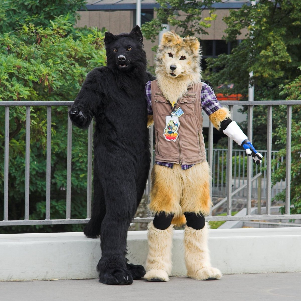BerkWolf's tweet photo. Happy #FursuitFriday
โ๏ธ @CopperSprite
๐บโ๏ธ @sekkinkyowe
๐ธ @coorandilla
๐ 24.08.2014
๐จ @estrelberlin
๐ #Berlin ๐ฉ๐ช
๐ฆ 20. @eurofurence
#EF #EF20 #EF2014 #Fursuit #Furry #Husky #Eurofurence #Furry #Convention #Sekki #Estrel
Follow my Berk-News (TG):
https://t.co/AIwKf2hgax https://t.co/uHD2nlRepd
