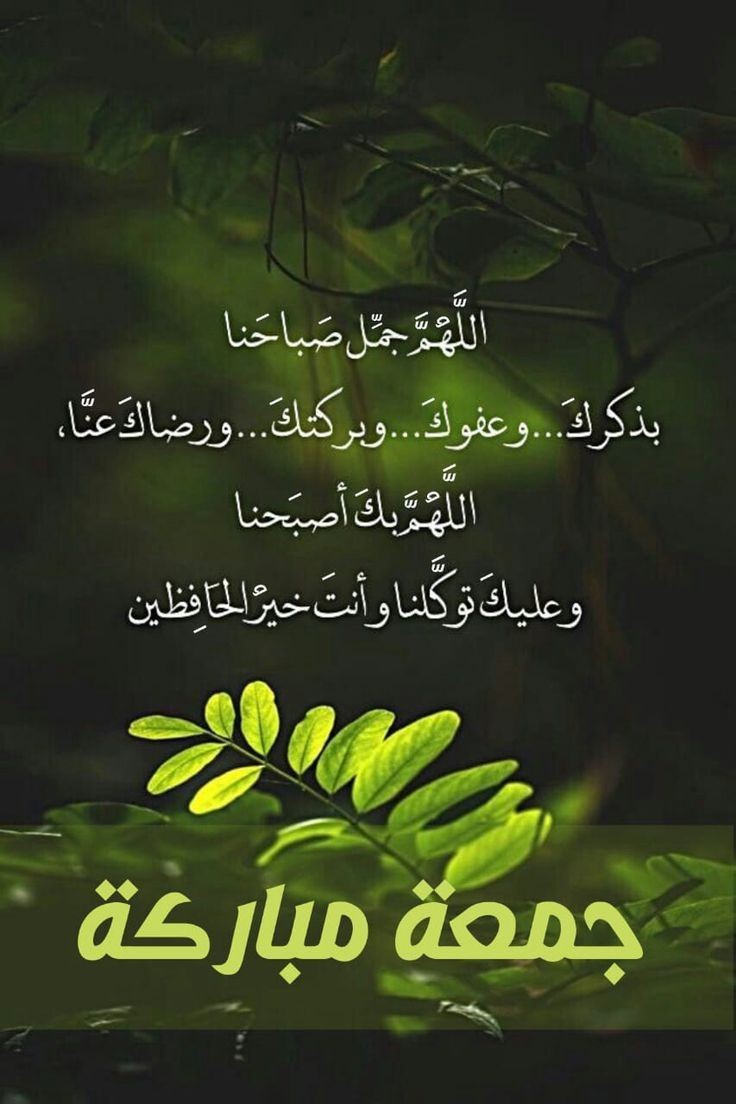 GharibAziz11's tweet photo. #السلام_عليكم #اللهم_صل_على_محمد_وآل_محمد #جمعة_مباركة #شكرا https://t.co/2YHYA3ga8W