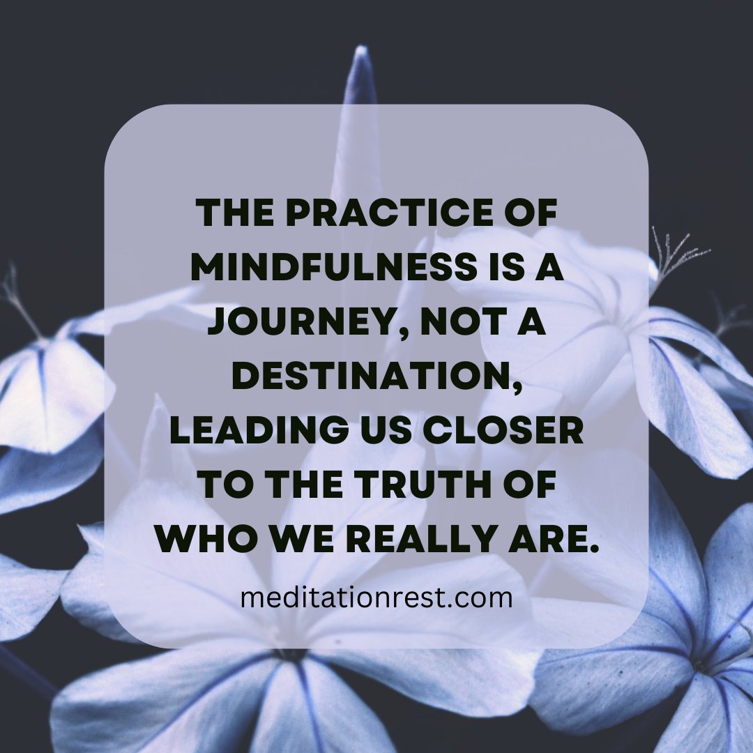 'The practice of mindfulness is a journey, not a destination, leading us closer to the truth of who we really are.' #mindfuljourney #selfdiscovery #innertruth
