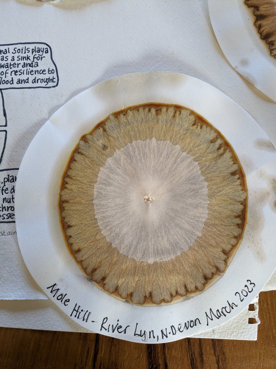 Looking forward to delivering a #soilvoices workshop at the #DartingtonBioblitz & #FarmOpenDay. Make your own #chromatogram @ApricotCentre @Soil_Science