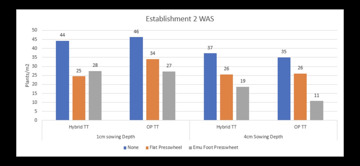 For those interested, this is the first counts 2 weeks after sowing. No significant rain since late March here but was sown into good moisture. <a href="/GRDCNorth/">GRDC North</a> <a href="/gsandral/">Graeme Sandral</a>