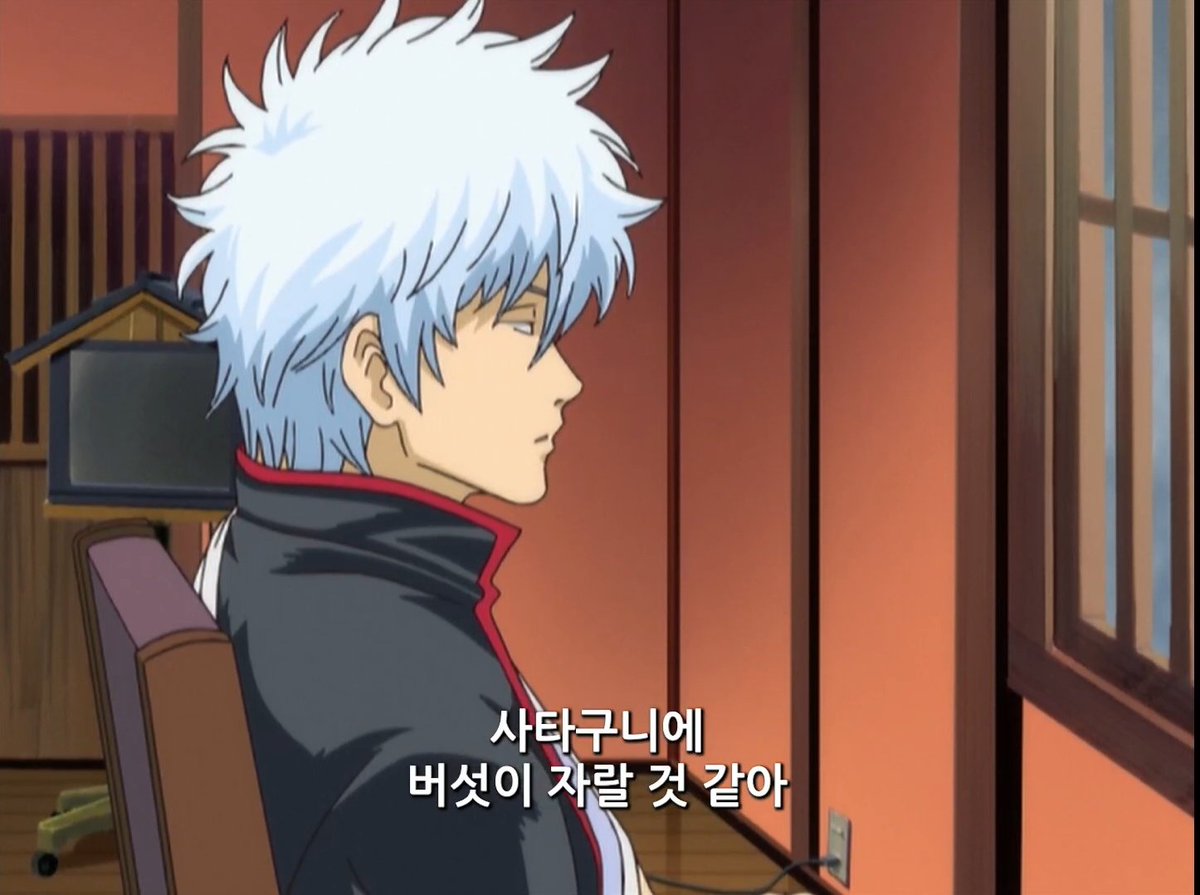 ✨은혼저장계✨ tweet media