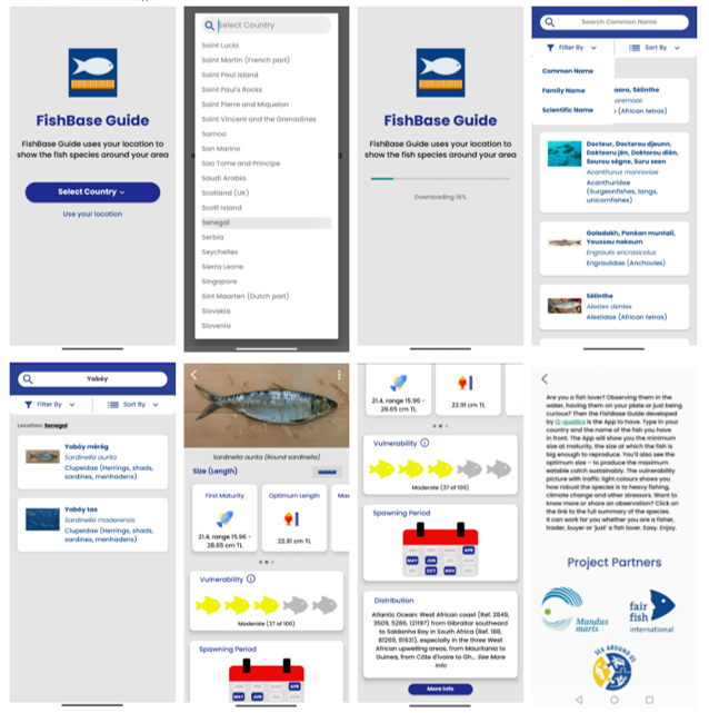 FishBaseProject's tweet image. Explore the #FishBaseGuide app which provides essential information to help protect and preserve #fish 🐟🐠🐡 populations for future generations. Download free from #GooglePlay! Deets: bit.ly/FishBaseGuideGP.