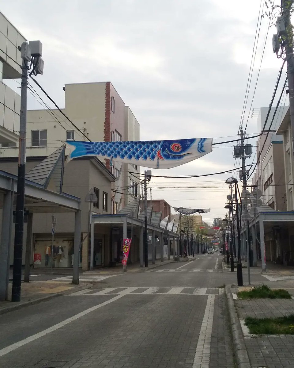 yukikace's tweet photo. #北海道 #ほっかいどう #ホッカイドウ #apt4 #網走 #まちなか網走 #オホーツク #鯉のぼり #こいのぼり #さーちオホーツク #あばしり #アバシリ #オホーツクTwitter会 https://t.co/dWmtRng7Vg