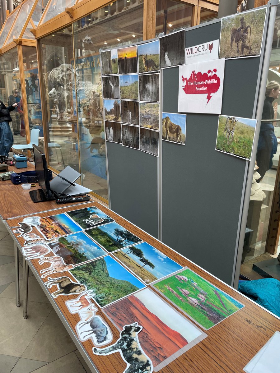 WildCRU_Ox's tweet photo. Think you have what it takes to be a conservationist? 

Visit @WildCRU_Ox’s stand at Late Night at @morethanadodo tonight, 7-10pm, to find out. 

Book your free ticket https://t.co/YbsjUiESwR https://t.co/S43ydUIEuL