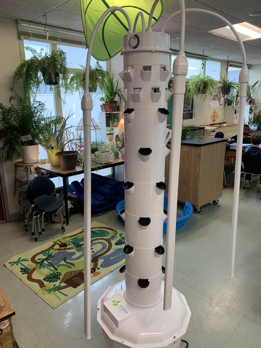 Kyra Stephenson tweet media