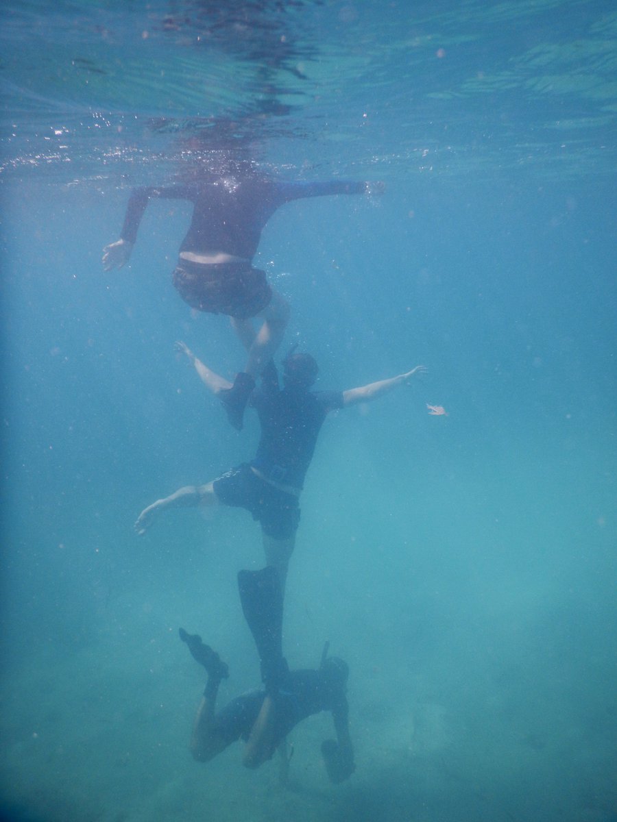 DolmaMichellod's tweet photo. I would also like to thank all my colleagues @MarineMicrobio  and friends who supported me along this seemingly endless quest and were there to support me during the lows and to celebrate the highs with me. In science as in life, balance is key.
10/n https://t.co/mCBvYp51k2
