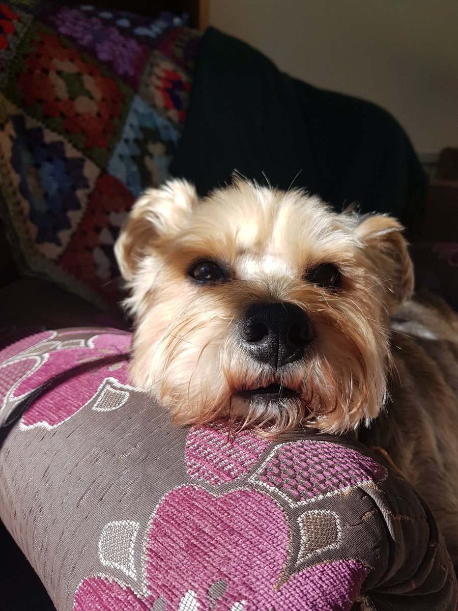 Emer Farrell tweet media