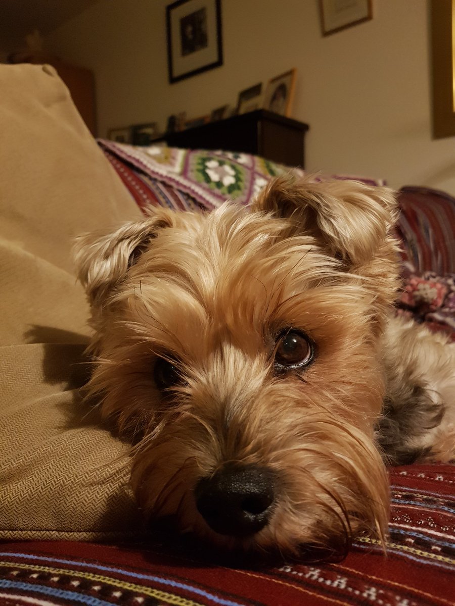 Emer Farrell tweet media