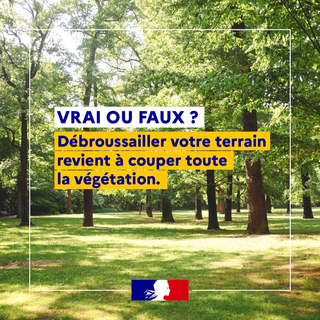 FAUX ! ❌

Si les premiers travaux de débroussaillement peuvent nécessiter d’abattre certains arbres, une fois réalisés, les travaux suivants reviennent à de l’entretien et de la suppression de broussailles. 

Pour savoir si vous êtes concerné, rdv sur feux-foret.gouv.fr