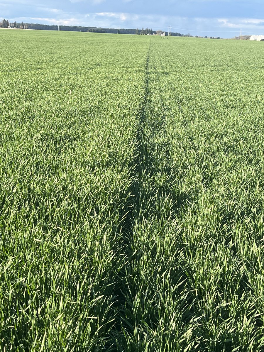 Remco Brinke tweet media