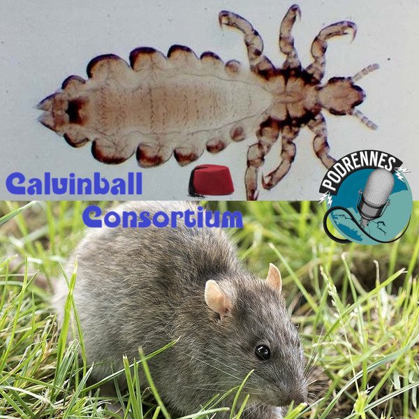 MoiParasite tweet media