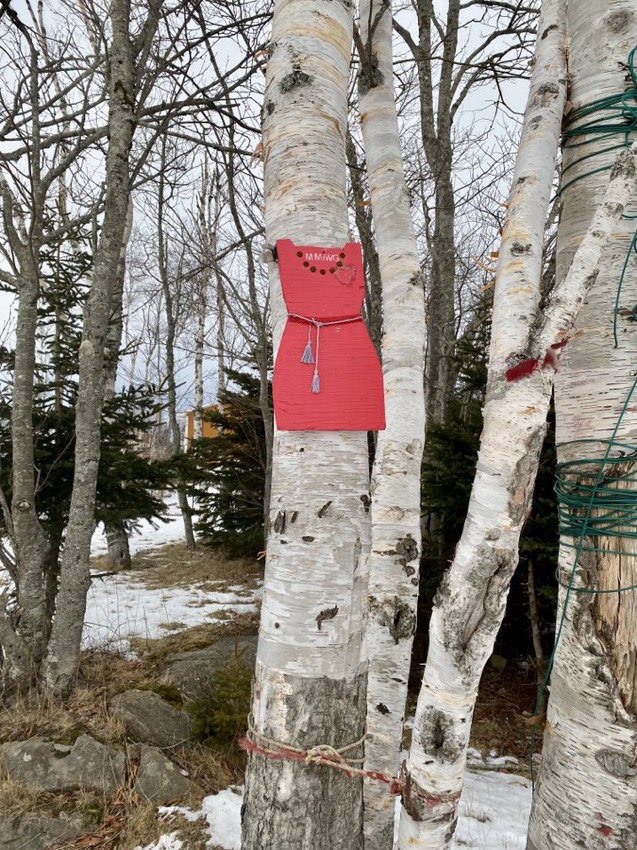 worldliveas1's tweet photo. #MMIWG2S https://t.co/srUJ5tfdT0