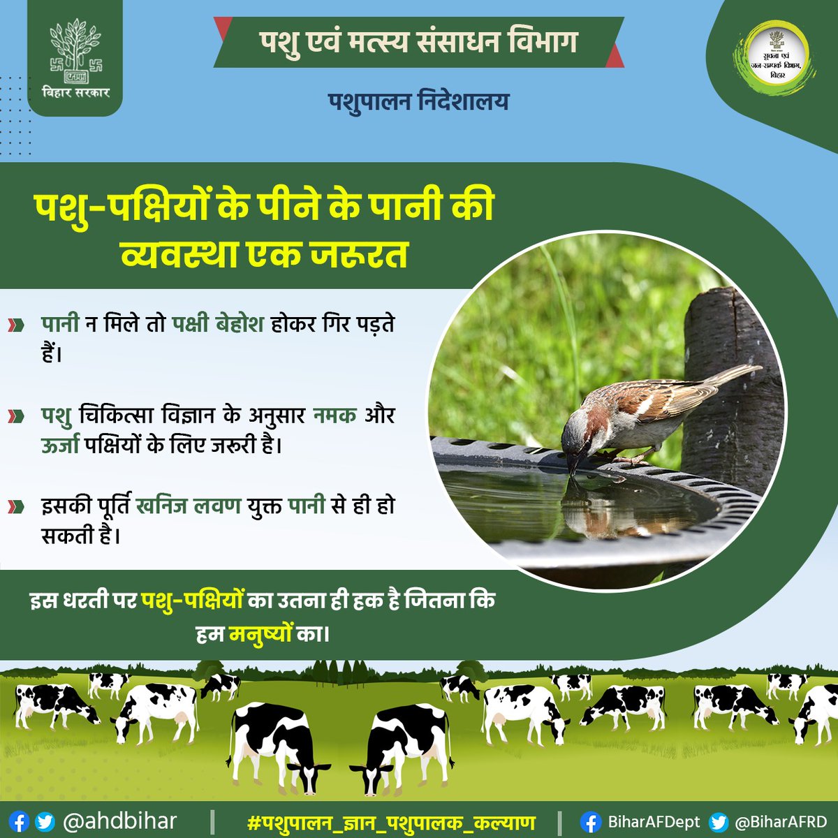 Animal & Fisheries Resources Dept., Bihar (@biharafrd) on Twitter photo पशु-पक्षियों के पीने के पानी की व्यवस्था एक जरुरत।
<a href="/AfaqueKasbaMLA/">Afaque Alam</a>
<a href="/saravanakr_n/">N Saravana Kumar IAS</a>
<a href="/Dept_of_AHD/">Dept of Animal Husbandry & Dairying, Min of FAH&D</a>
@AnimalBihar
<a href="/DirectorateOfF1/">Directorate Of Fisheries, Bihar, Patna</a>
#पशुपालन_ज्ञान_पशुपालक_कल्याण
#BiharAnimalAndFisheriesResourcesDept पशु-पक्षियों के पीने के पानी की व्यवस्था एक जरुरत।
<a href="/AfaqueKasbaMLA/">Afaque Alam</a>
<a href="/saravanakr_n/">N Saravana Kumar IAS</a>
<a href="/Dept_of_AHD/">Dept of Animal Husbandry & Dairying, Min of FAH&D</a>
@AnimalBihar
<a href="/DirectorateOfF1/">Directorate Of Fisheries, Bihar, Patna</a>
#पशुपालन_ज्ञान_पशुपालक_कल्याण
#BiharAnimalAndFisheriesResourcesDept