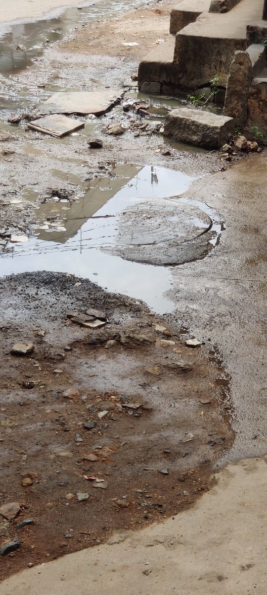 rubyroy24's tweet photo. @GHMCOnline @CommissionrGHMC @GadwalvijayaTRS @Director_EVDM This is condition of the area from last 10 days. Inspite of multiple complaints no action taken. I am sure dozen will now die of dengue. Can authorities kindly take some action. https://t.co/ytCvyIUy5b
