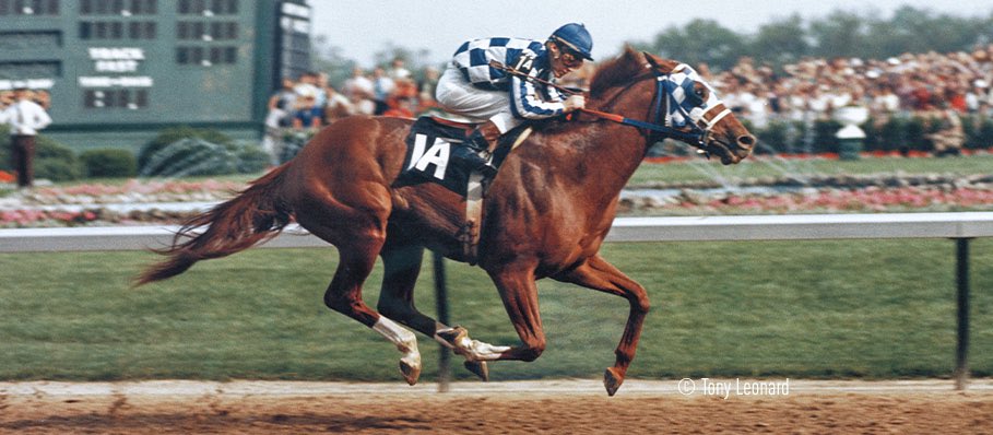 GiacomoMoccetti's tweet photo. 50 anni fa, il 5 maggio 1973, il purosangue da corsa Secretariat vinse il #KentuckyDerby rivelandosi al mondo.

👉🏻 Thread sul cavallo più veloce di sempre. (1/18) https://t.co/3ucZ6JucTN