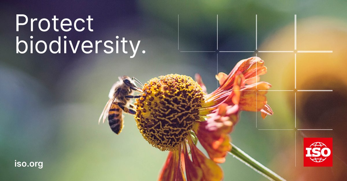 Within our Net Zero Guidelines, we explore how organizations can implement actions that protect biodiversity and enhance ecosystems.

Access the guidelines 👉 pulse.ly/7g5jags8pg

#ClimateAction #NetZero
