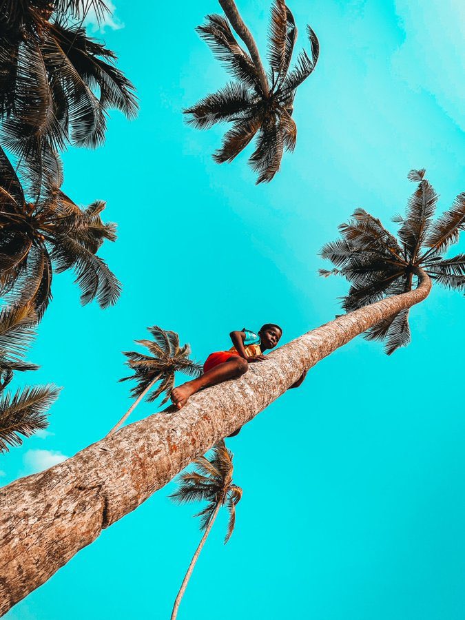 Nappyblaze's tweet photo. Drop the coolest wallpaper in your gallery 👌 https://t.co/kaNNDgj1aE