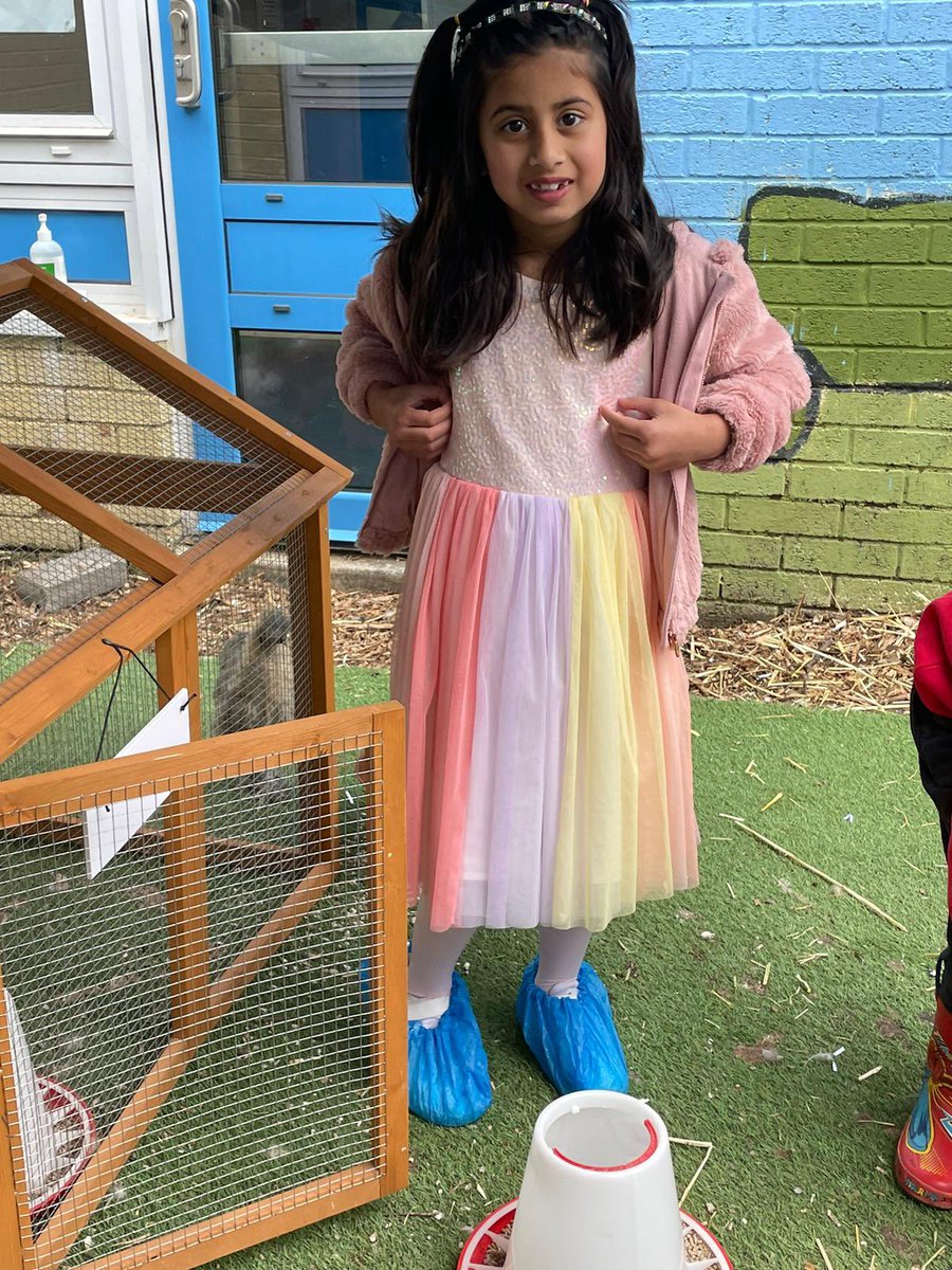 MPSChicks's tweet photo. What a week! Thanks to P1.2 for looking after us! #happychicks @MuirhousePS https://t.co/Jeakk1j6ci