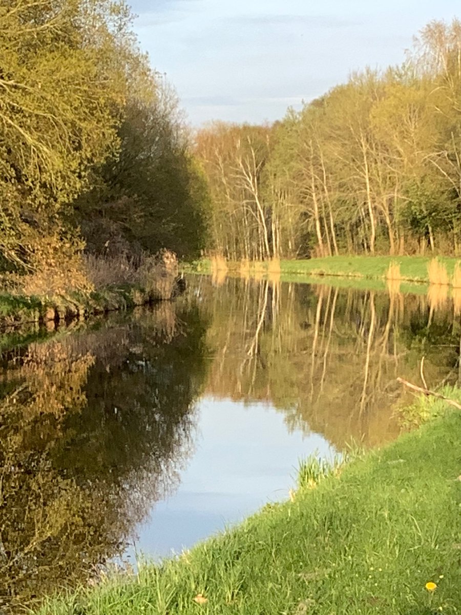 JohnM88200194's tweet photo. "Wir gehen nicht zweimal in denselben Fluss"
(Seneca )
Foto: John M.
#zitat #spruch #autor #BooksWorthReading #readytolove #readAwrite #naturelovers #plau #stille https://t.co/AJQppNinJ8