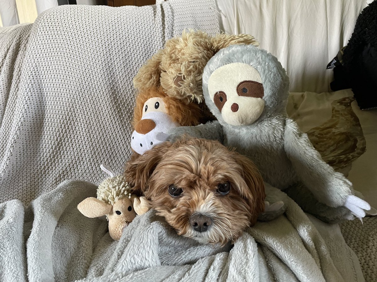 Got my friends round for a party 🦴