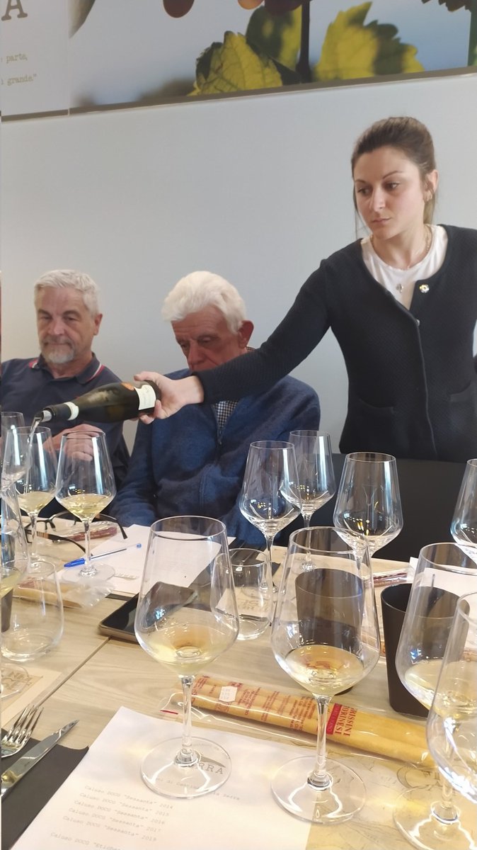 MILLEVIGNE's tweet image. In occasione dei 70 anni della Cantina della Serra a Piverone la degustazione di vecchie annate di #Caluso #DOCG rivela tutte le qualità di invecchiamento del vitigno #Erbaluce.