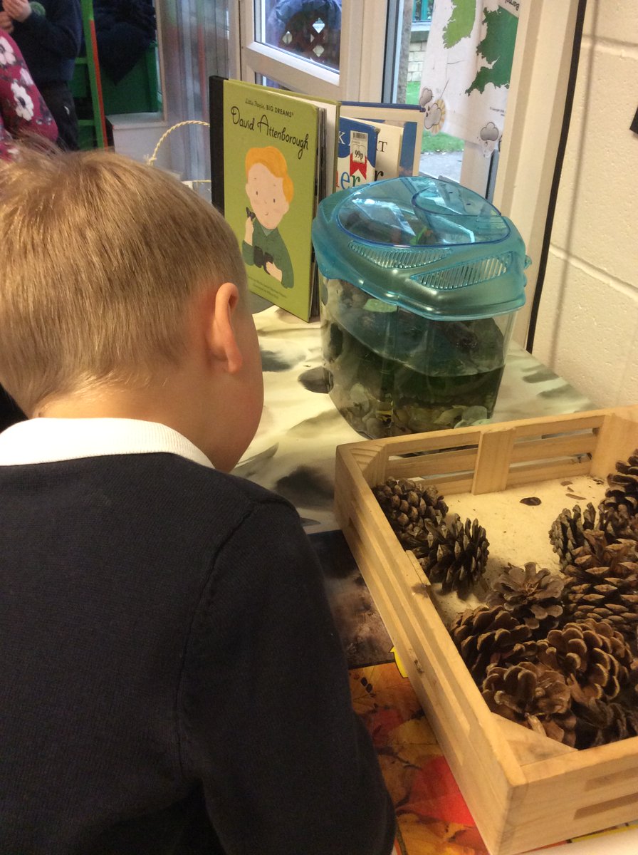 ASA_FS1's tweet photo. We have some tadpoles in our classroom. We are learning about a frogs life cycle. We have been giving the tadpoles plenty of food. #ASAScientists https://t.co/RkGMb2YtYi