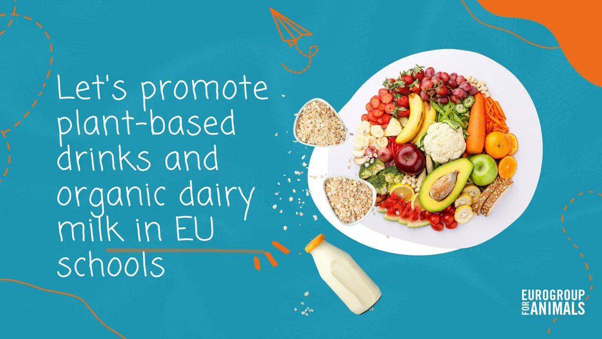 🏫Schools are powerful agents of change & play a key role in educating young generations about the impact of food choices on health & the environment.

Next week, @Europarl_EN will vote on the #EUSchoolScheme.

Our asks: 
🌱🥛✅Include #PlantBased drinks
🐄🥛✅Organic #SchoolMilk