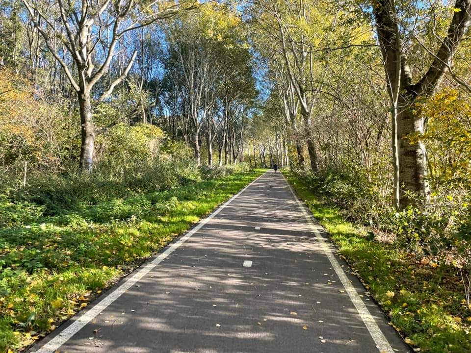 Just imagine if West Somerset was fully connected with beautiful cycle paths like this, so you could cycle from #Porlock to #Williton via #Minehead and #Watchet on paths like this.    

Dare to dream!

#cyclepaths #cycling