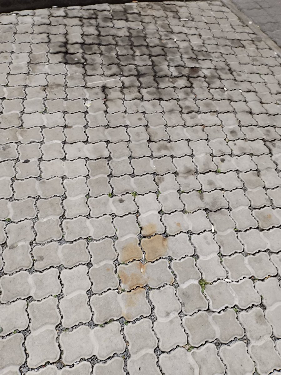 MichaelaJade237's tweet photo. #ReFi_this @Reficapetown #Reficapetown #Gitcoinbeta
Help keep supermarkets parking lots clean. The environment matters and so does the attraction of the people who come to shop here. https://t.co/7TAvoBERsx