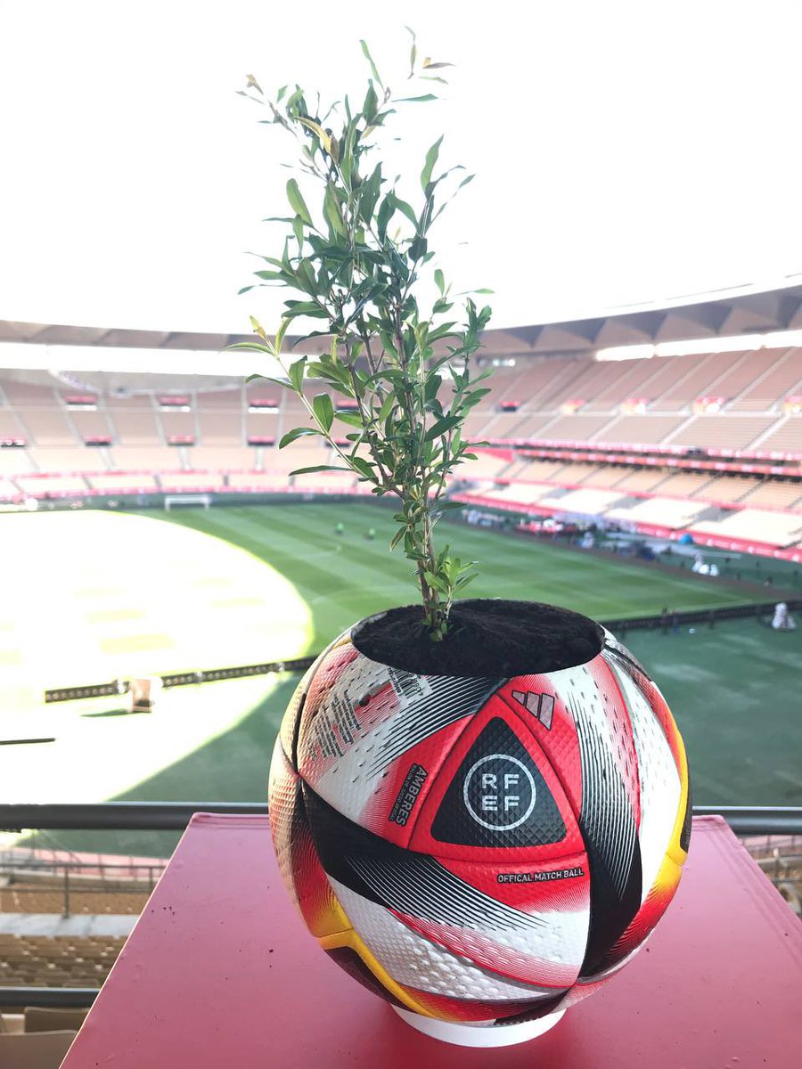 rfef's tweet photo. 🏆 Ya sabes que #LaCopaMola…

…pero no imaginabas que TANTO.

🌿 Hoy te explicaremos por qué esta #CopaDelRey va a dejar huella… pero no de carbono. 

¡No te lo pierdas! https://t.co/QKSR7AcJ11