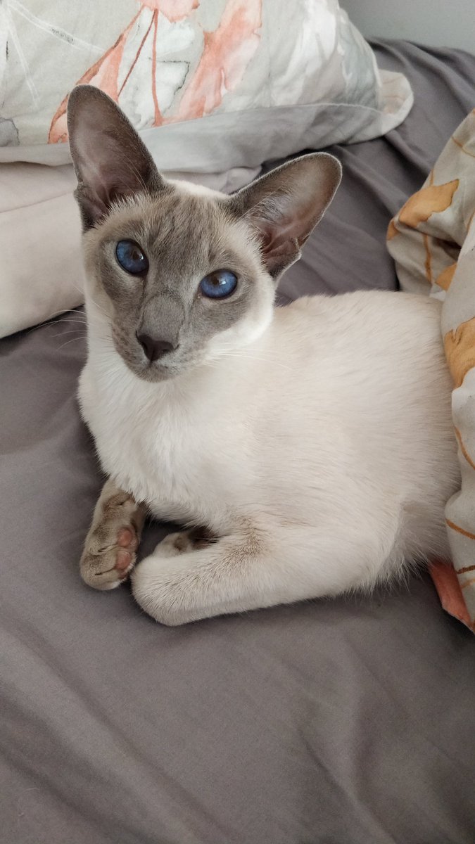 J🍑hanna tweet media