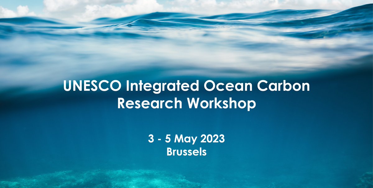 This week, experts gathered together at the @UNESCO ICO-R workshop to drive forward integrated #OceanCarbon research to tackle one of the most pressing issues of our time 
▶️ eu4oceanobs.eu/unesco-integra…

#ClimateChange #carboncycle #SustainableAction #EUGreenDeal #Earthobservation