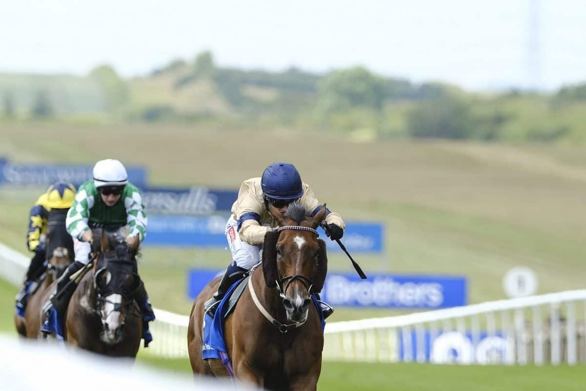 HambletonRacing's tweet image. We are off to Racing HQ today as our globetrotter Outbox is in 🌟 GROUP 2 🌟 action @NewmarketRace. Trained by the in-form @Archie_Watson and set to be ridden by his regular partner @HollieDoyle1. Best of luck to all connections! 🏇💛💙 #HambletonTeam #MultipleWinner #Frankel