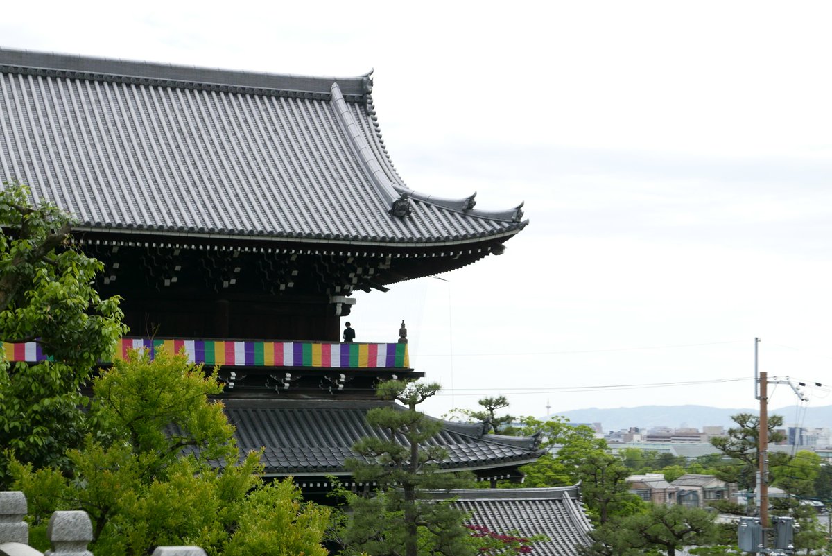 T89409810's tweet photo. 夕方、何故か友人に拉致られて
黒谷金戒光明寺のアフロ大仏さんの所へwww理由はわからんw
#アフロ大仏 #黒谷金戒光明寺 #五劫思惟阿弥陀仏 #LEICA #typ109 https://t.co/5Tv07tUGb7