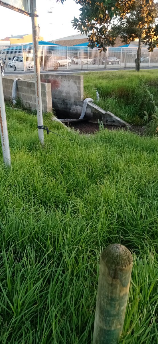 DMckeet95467's tweet photo. Let's do better and try and keep the drains clean
#ReFi_This
@reficapetown
#ReFicapetown
#GitcoinBeta https://t.co/4fCaaHroRP