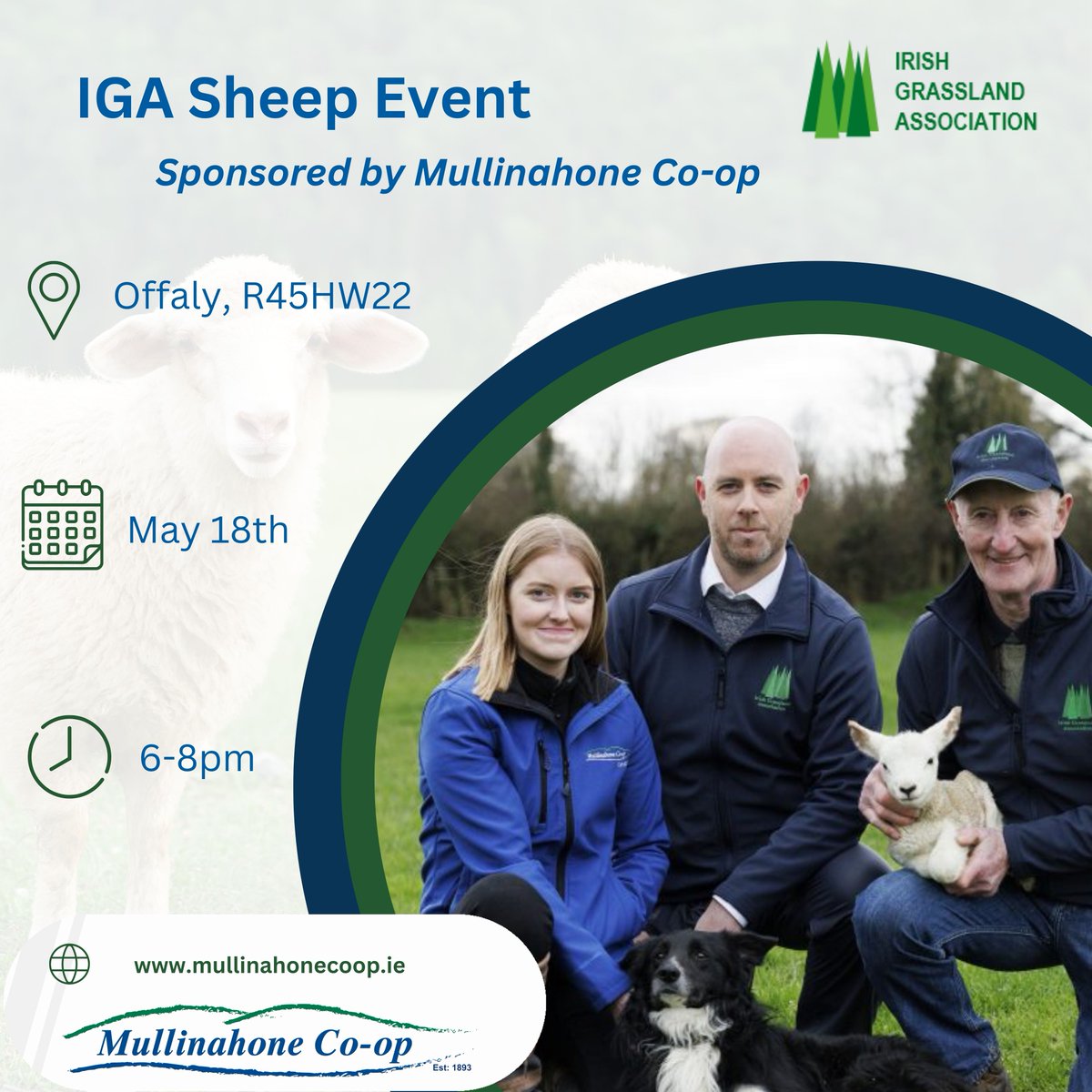 MullinahoneCoop's tweet photo. FREE Sheep Event 🐑
 
The Irish Grassland Association are running a free sheep event on May 18th.  

Mullinahone Co-op are the proud sponsors of this event.  

Lamb and beef burgers will be served on arrival 🍔🤤
Check out the full details here: https://t.co/ImmxueZGG0 https://t.co/pMqzNc8kaR