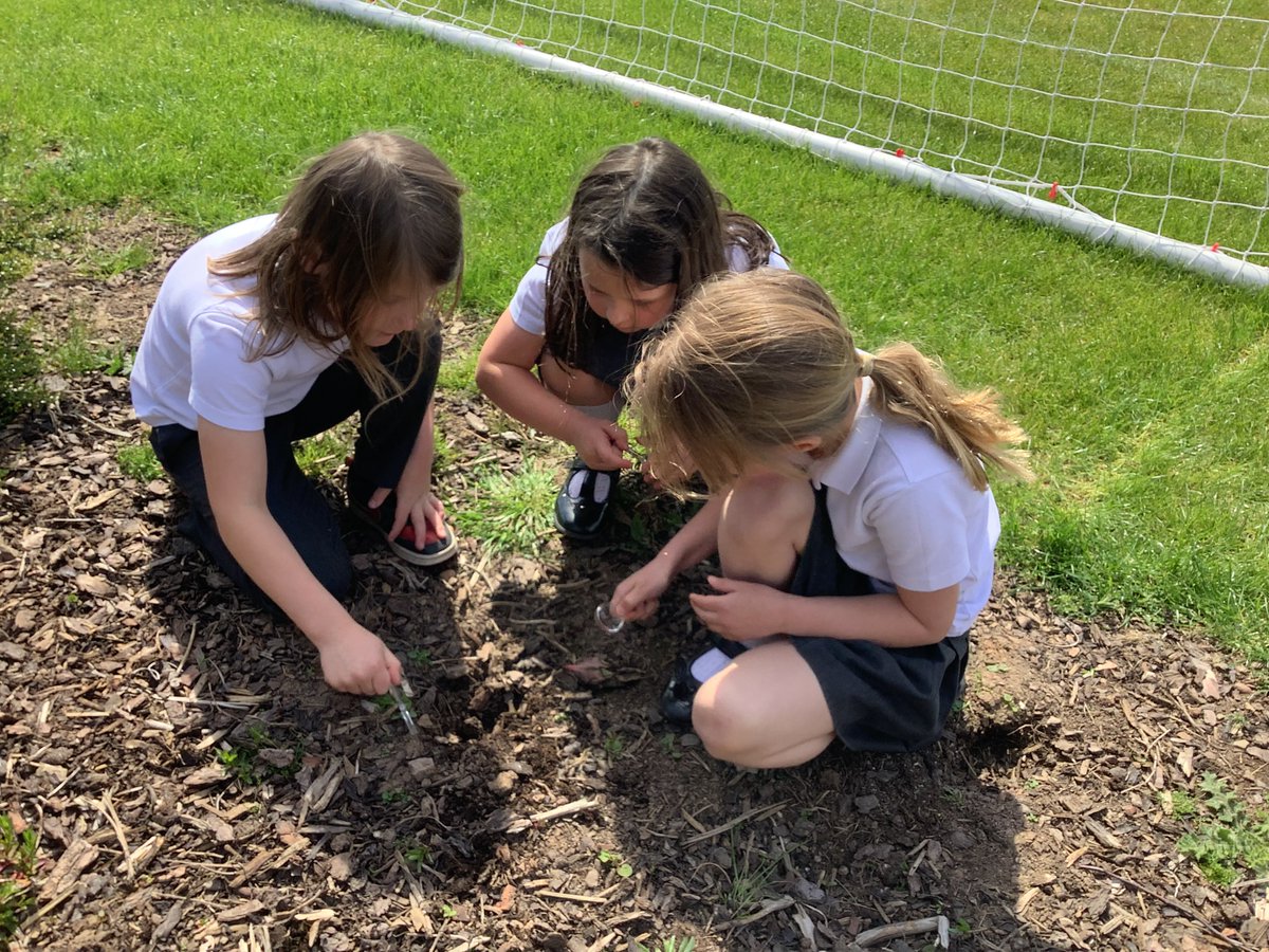 In Year 2 this week we have been learning all about micro habitats and who lives in them. The children had fun exploring the grounds of the school looking for creepie crawlies.#growingbrighterfutures
