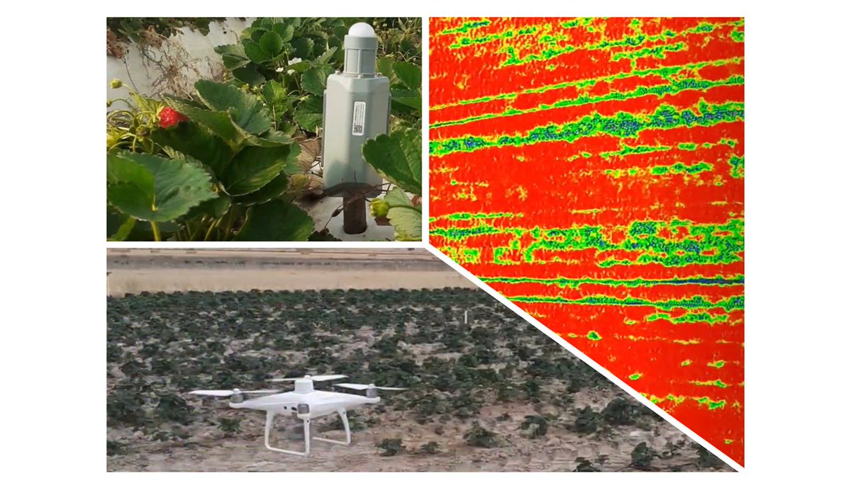 🏃‍♀️🏃<a href="/UCCiUSAL/">Unidad de Cultura Científica y de la Innovación</a> ha organizado una actividad ideal para aquellos a los que le gusta correr y la investigación. ¿Quieres sumar kilómetros para que el proyecto AgroSIoT pueda seguir desarrollandose? youtube.com/watch?v=dwbeBM…